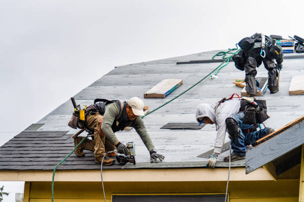 Professional Roofing technician working in Dante, VA